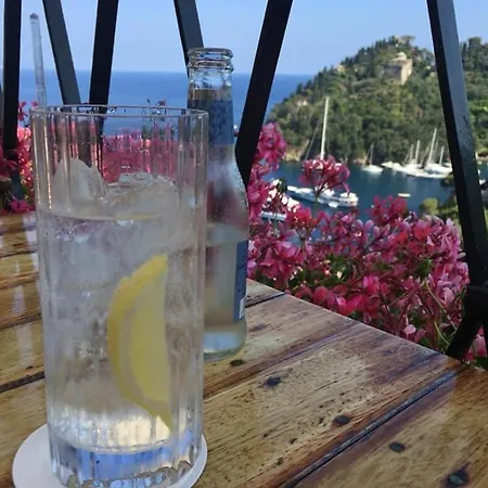 Luxury On The Sea *